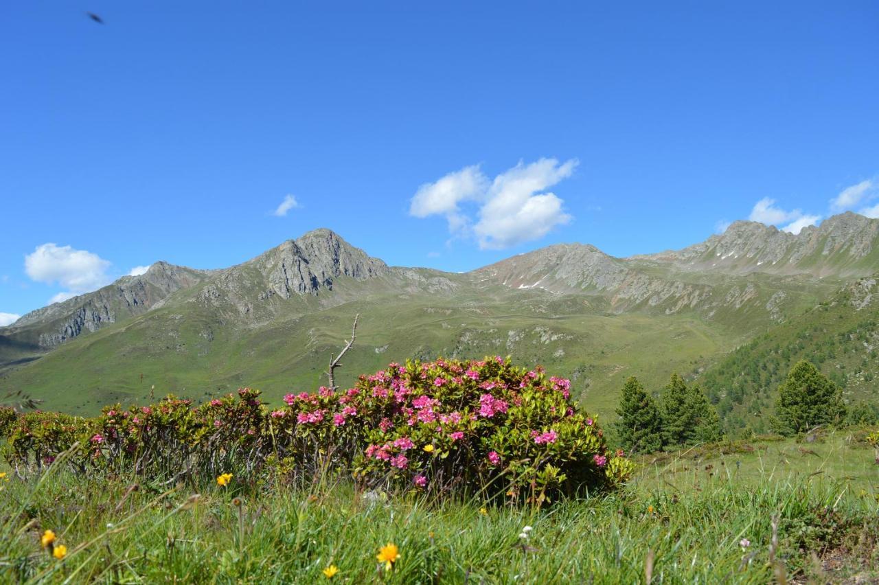Feldererhof Apt Almenblick Santa Maddalena in Casies Luaran gambar